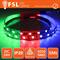 Striscia led 5050 5mt 12W 1100lm rgb 24V IP20 60led