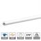 T5 LED TUBO 12W 1000LM 4000K G5 PF0.5 870X21MM 20PZ-en