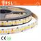 STRISCIA LED 5MT IP20 2835 24V 20W/M 240LED/M 3000K-en