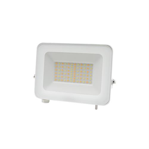 Proiettore led 30W 3CCT bianco Dafne